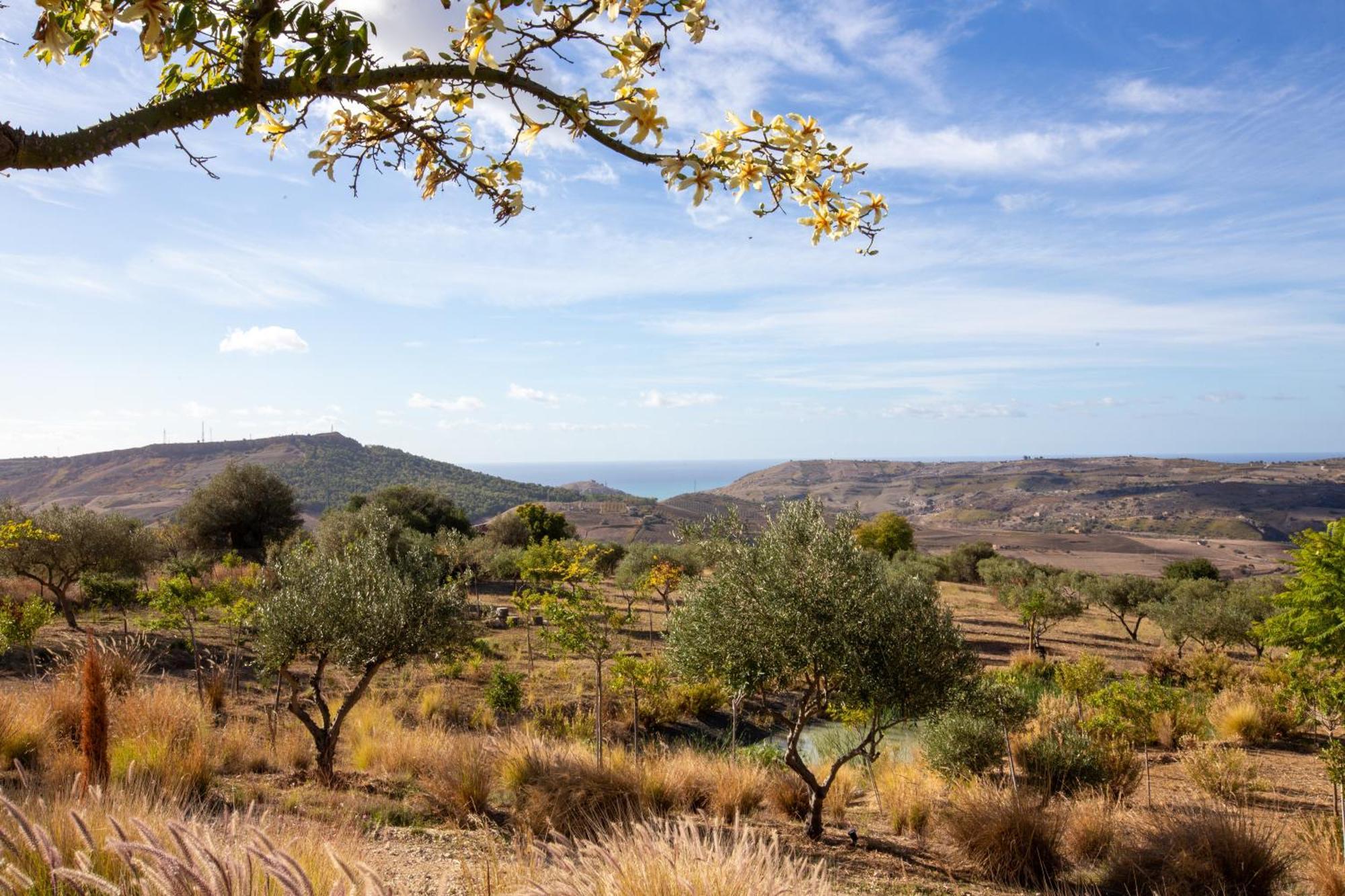 Buahjar Boutique Home Apartment Agrigento Eksteriør bilde